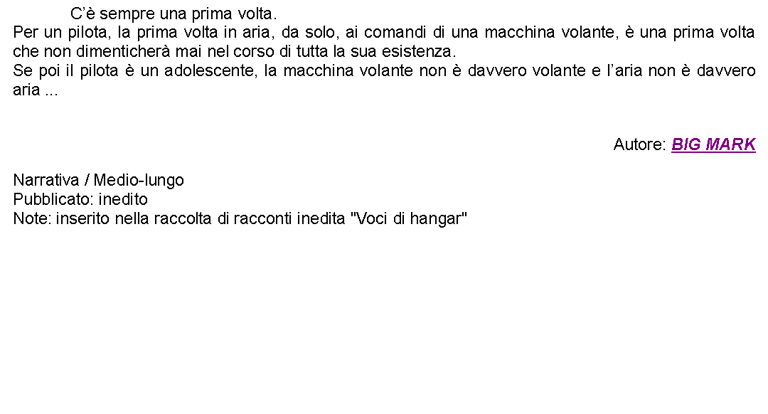 Casella di testo: 		C sempre una prima volta.Per un pilota, la prima volta in aria, da solo, ai comandi di una macchina volante,  una prima volta che non dimenticher mai nel corso di tutta la sua esistenza.Se poi il pilota  un adolescente, la macchina volante non  davvero volante e laria non  davvero aria ...Autore: BIG MARKNarrativa / Medio-lungoPubblicato: ineditoNote: inserito nella raccolta di racconti inedita "Voci di hangar"   