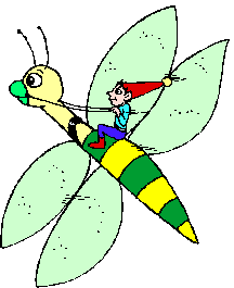 libellula cavalcata