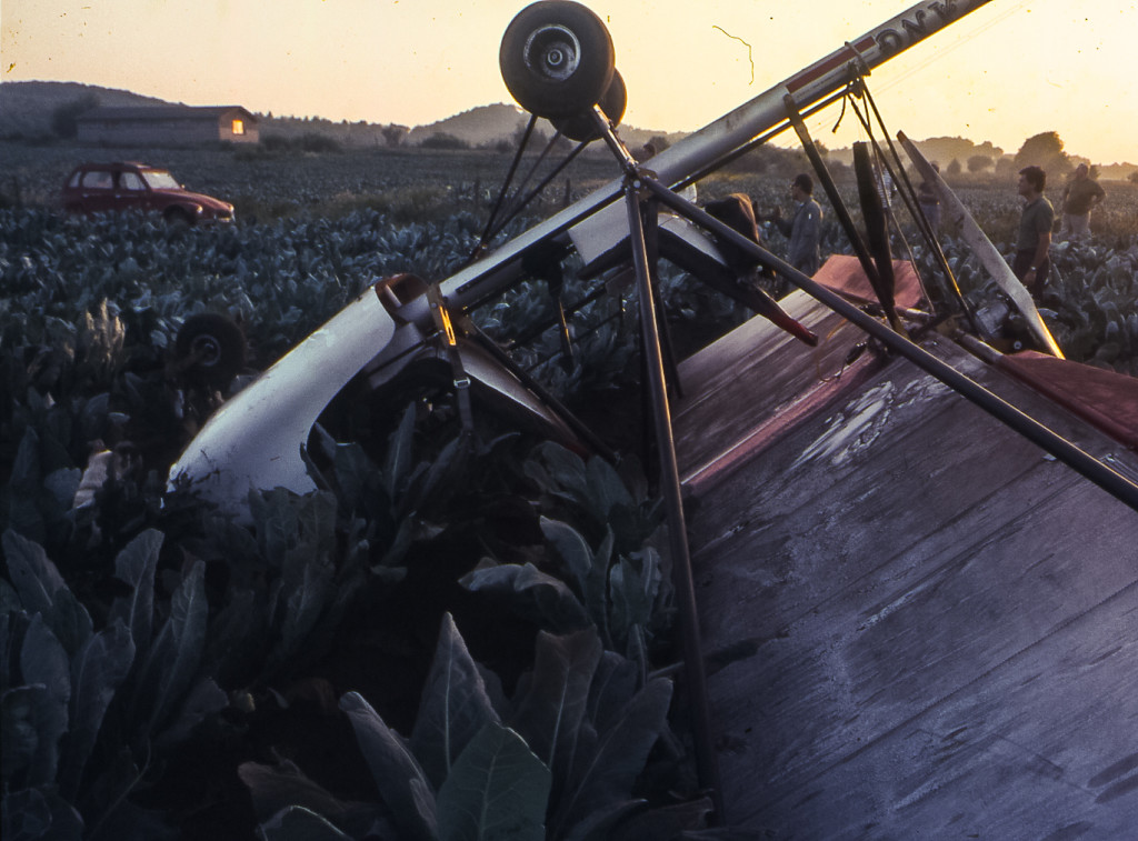 Ad uno "zingaro del cielo" può anche capitare di trovarsi a testa in giù con un campo di cavoli a fargli da cielo.