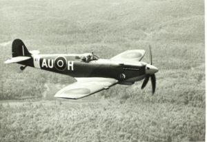 Spitfire ala corta